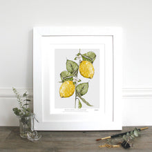 Load image into Gallery viewer, Meyer Lemons 10 x 12" Fine Art Print
