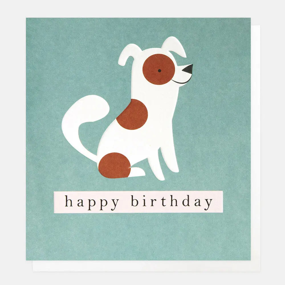 Happy Birthday White Spotty Dog On Teal