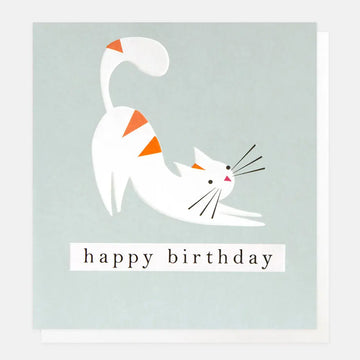 Happy Birthday Stripey Stretching Cat On Blue