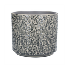 Load image into Gallery viewer, Ceramic Pot Cover - Succulents
