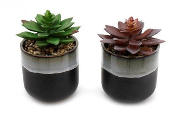 Smoked Grey Succulent Pot