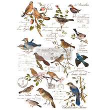 Load image into Gallery viewer, Redesign Decor Transfer - Postal Birds - Little Gems Interiors
