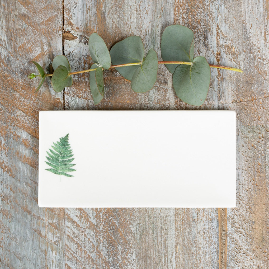 Fern Soap Dish