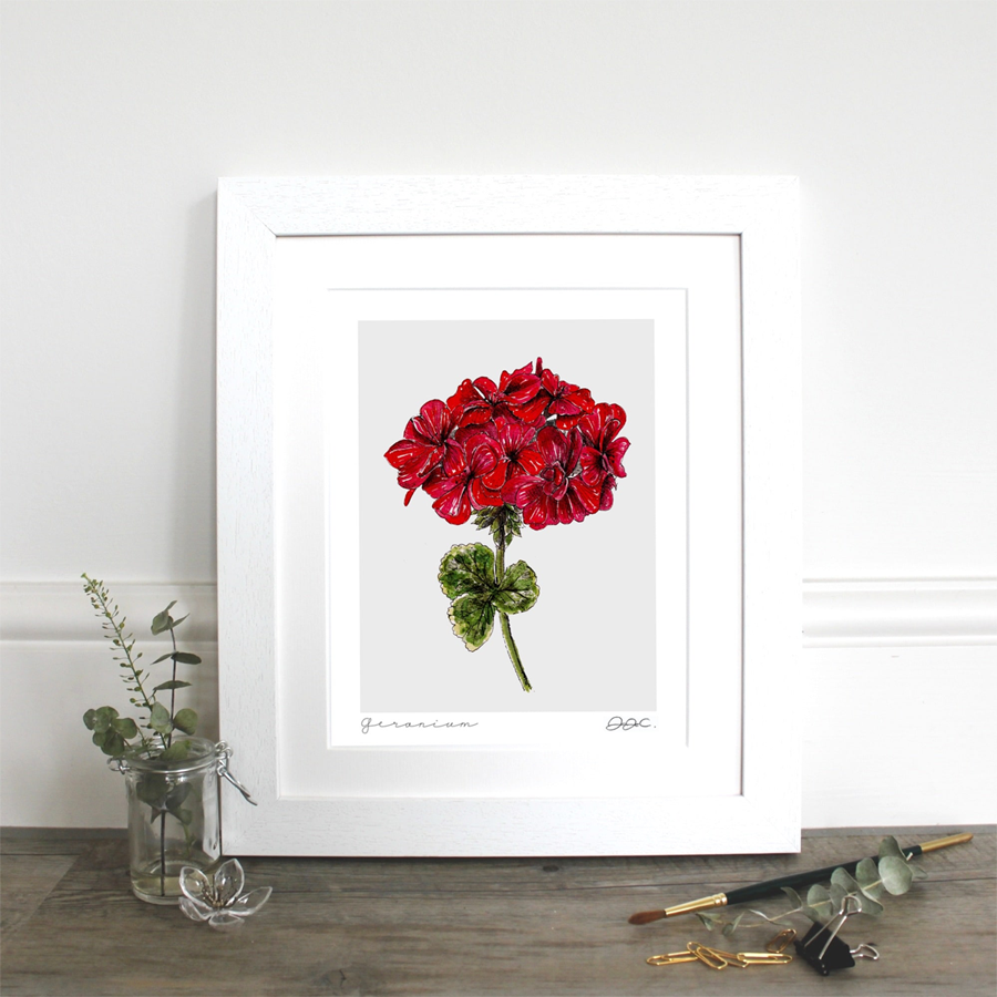 Geranium Fine Art Print