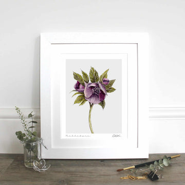 Mulberry Collection Fine Art Print
