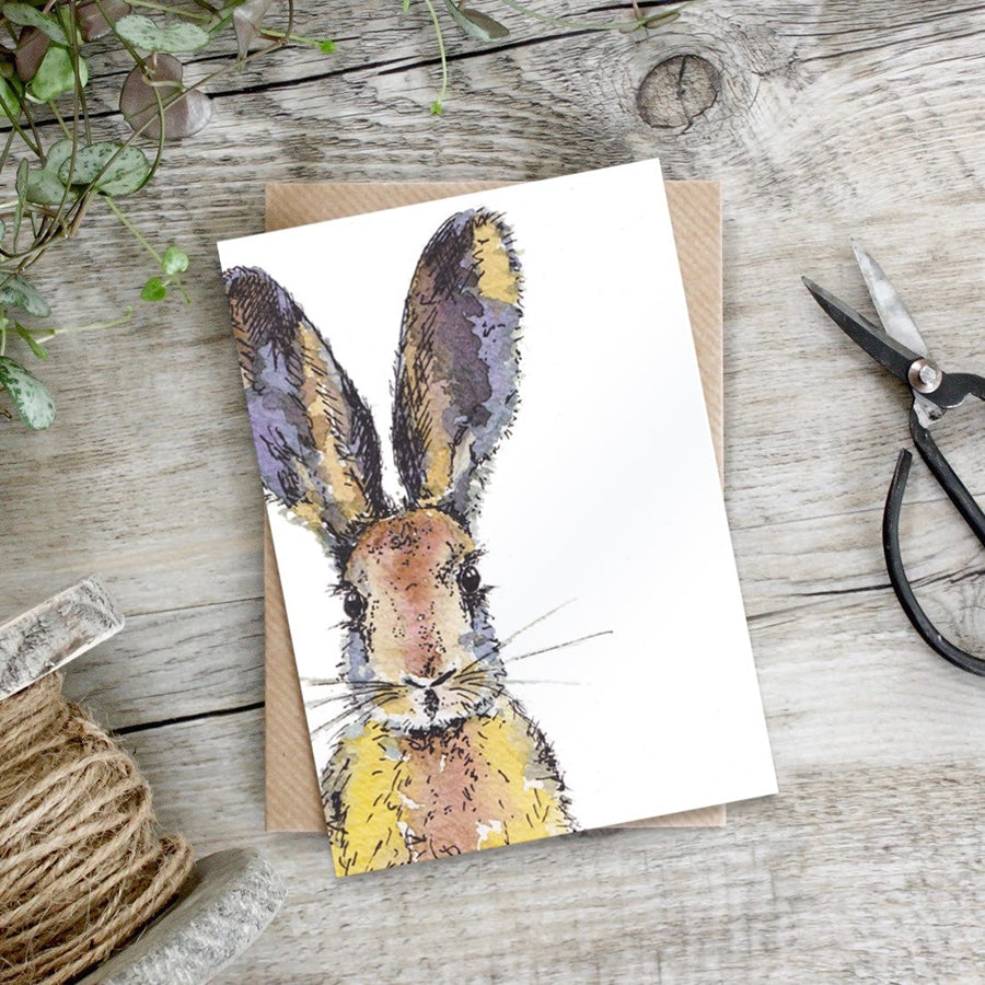 Coloured Hare card