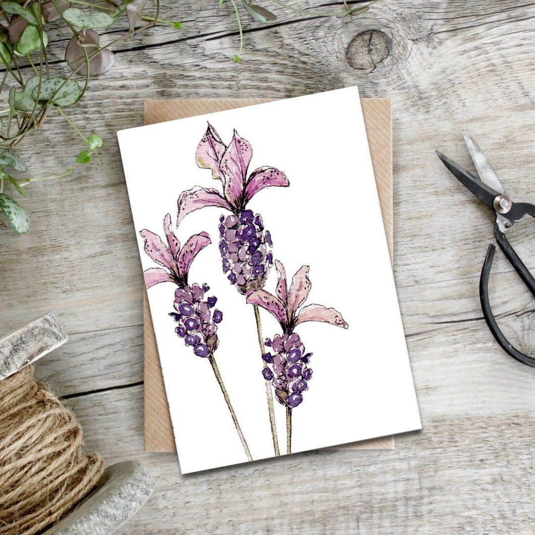 French Lavender Card