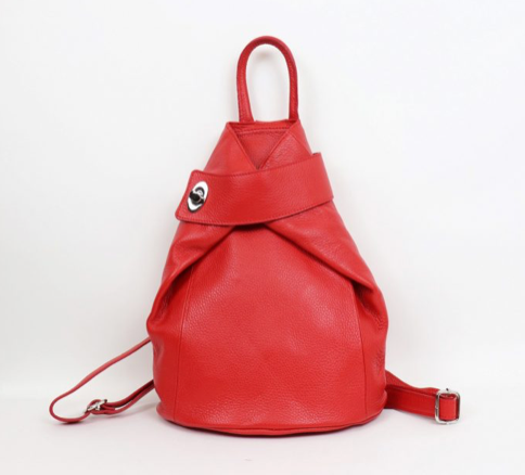 Italian Leather Back Pack