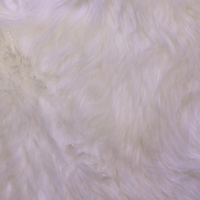 Load image into Gallery viewer, Sheepskin Rug Long Wool Ivory
