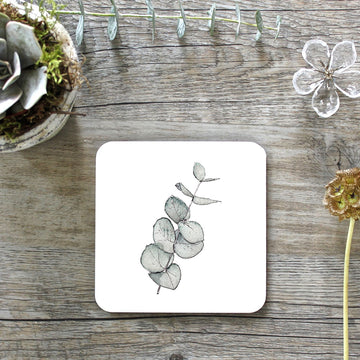 Eucalyptus Noir Coasters