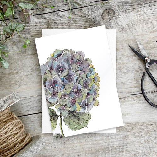 Hydrangea – Set of 6 notecards - Little Gems Interiors