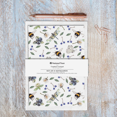 Wild Flower Meadows Pure – Set of 6 Notecards Cello-Free with Bellyband - Little Gems Interiors