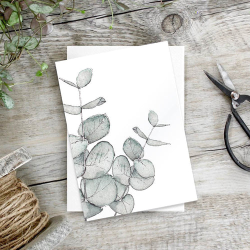 Eucalyptus – Set of 6 notecards - Little Gems Interiors