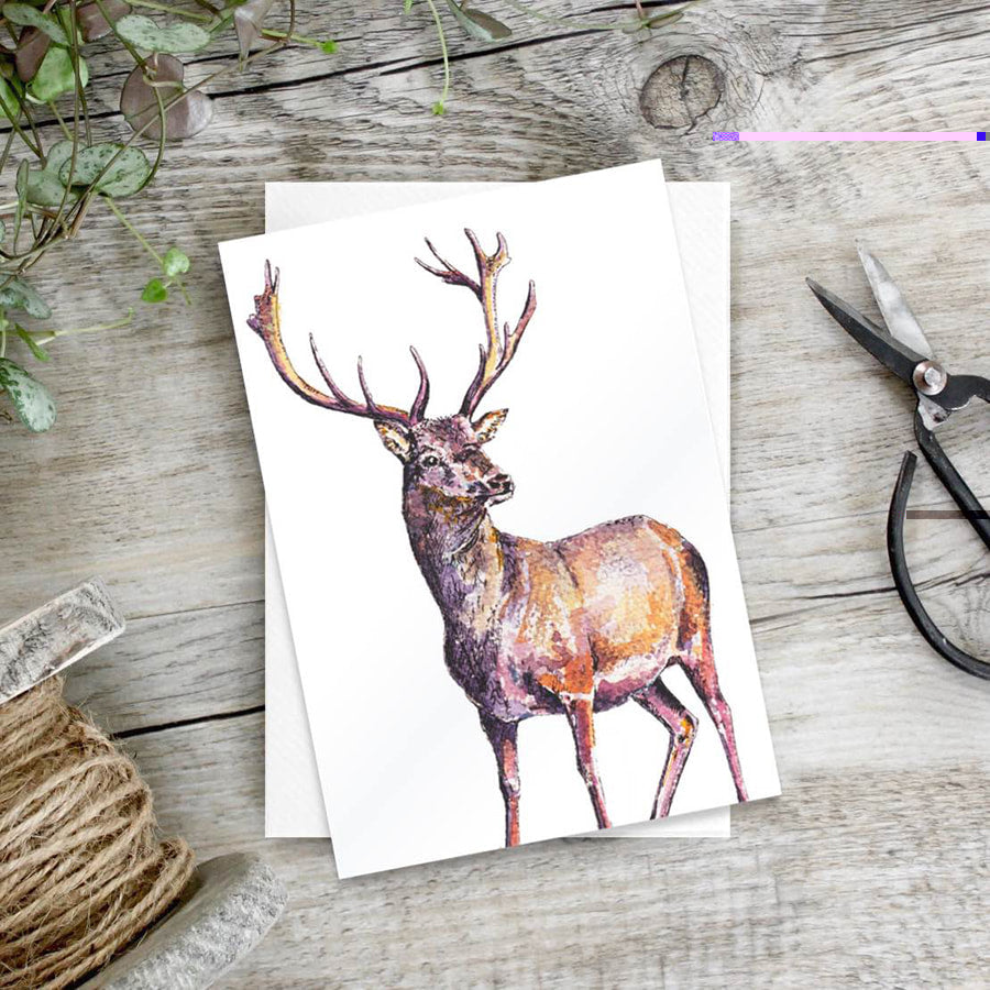 Stag – Set of 6 notecards - Little Gems Interiors