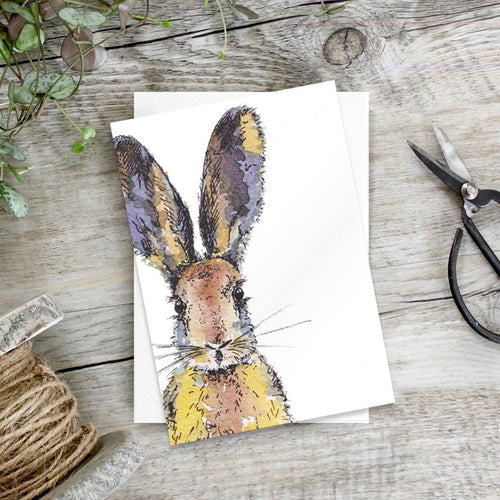 Coloured Hare - Set of 6 notecards - Little Gems Interiors
